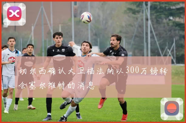切尔西确认大卫福法纳以300万镑转会塞尔维特的消息